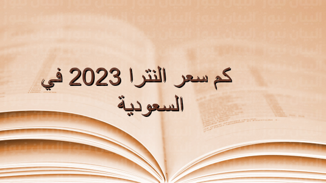 كم سعر النترا 2023 في السعودية